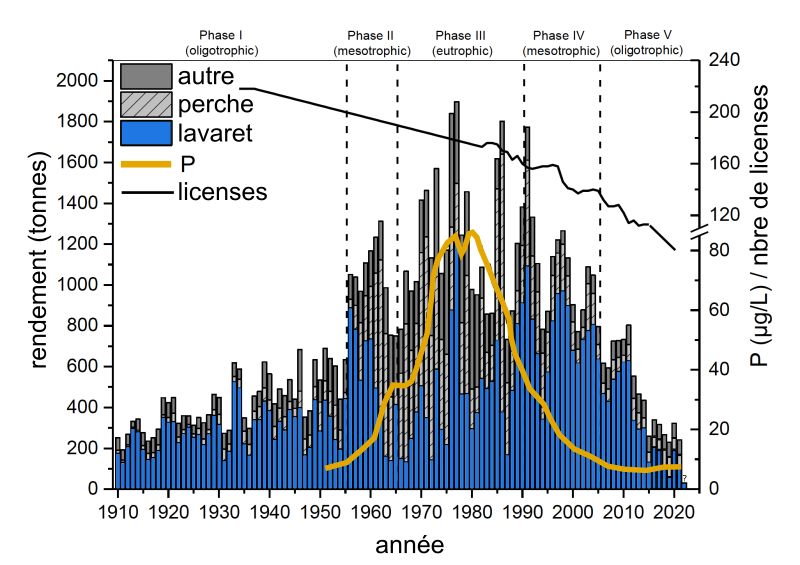 Evolution des rendements de poisson sur le lac de Constance